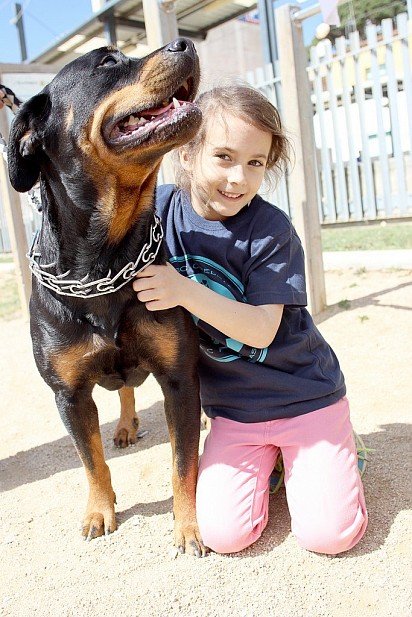 Rottweiler with baby