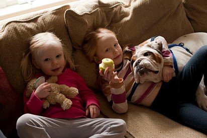 English Bulldog with kids (and apple)