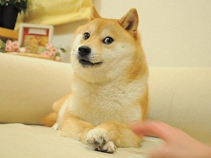 Doge - an image of the famous Shiba Inu that became a meme and even gave the cryptocurrency its name! 