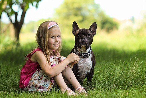 French Bulldog with baby