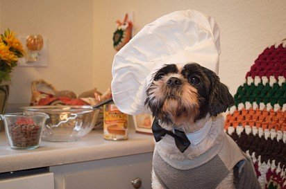 Monsieur the chef prefers haute cuisine, but agrees to dry food as well