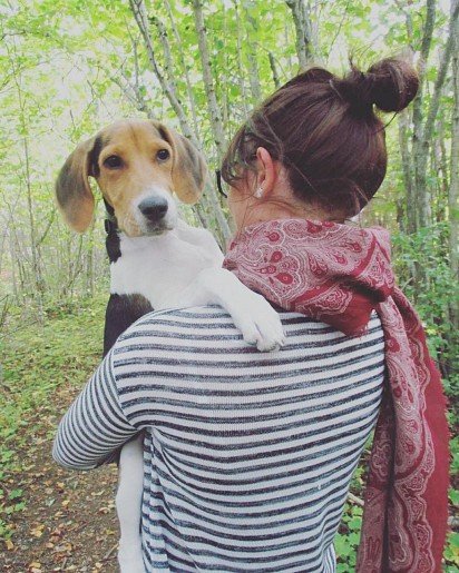 Estonian Hound in the Arms of its Mistress