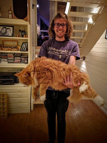 Norwegian Forest Cat with Human