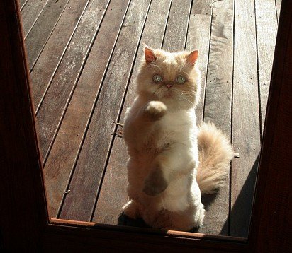 Hey, let me in