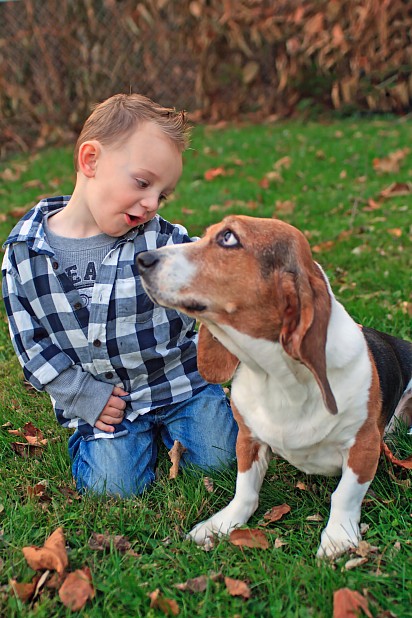 Basset hound with baby
