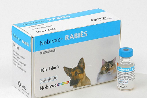Nobivac Rabies