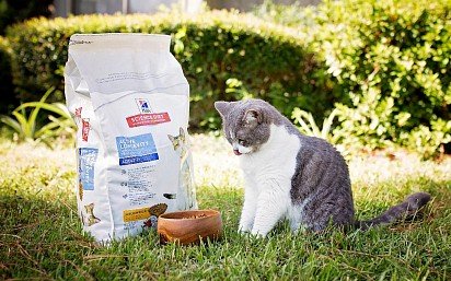 Vitamins for cats in prepared foods