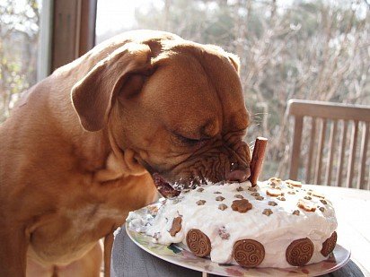 Oh, what a delicious cake! 