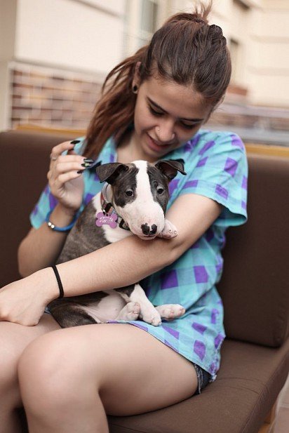 Girl with a Bull Terrier puppy