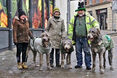 Irishmen with Wolfhounds