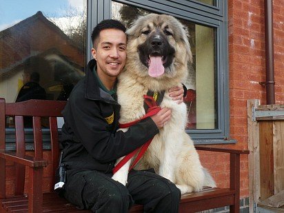 Caucasian Sheepdog with owner