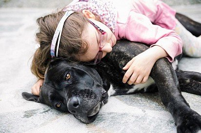Cane Corso with child