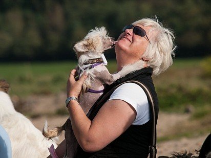 Chinese Crested Dog with favorite owner