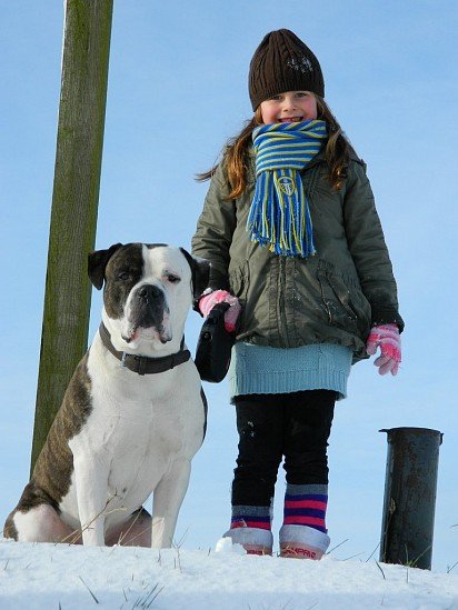 American Bulldog with a baby