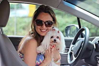 Maltese with owner