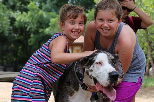 German Dog with Children